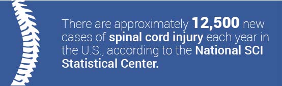 causes of spinal injury